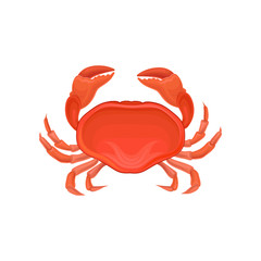 Detailed illustration of red crab. Marine creature with big claws. Sea animal. Decorative vector element for poster, restaurant menu or product packaging