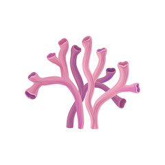 Obraz premium Detailed vector icon of purple-pink coral tubes. Underwater organism. Tropical sea plant. Marine theme. Aquarium design element. Decorative vector