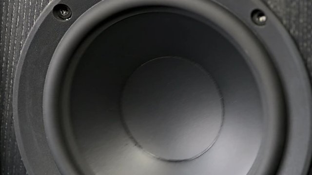 Bass Loud Speaker/Bass Loud Speaker in Action