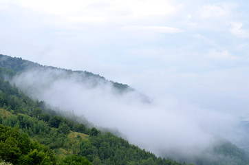 Fototapeta na wymiar Foggy mountains and forest in Turkey