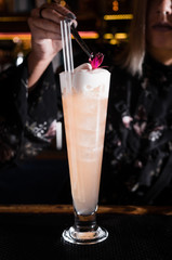 Cocktail bar bartender