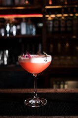 Cocktail bar bartender