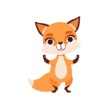 Cute fox character standing, funny forest animal vector Illustration on a white background