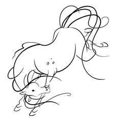 Horse. Black and white hand drawn vector stylized illustration. Kicking horse