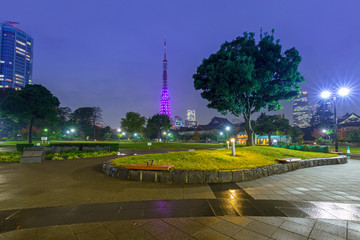 Illuminated Tokyo tower in the park at night, Japan