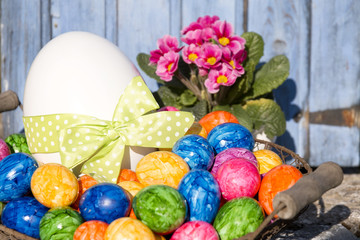 farbige ostereier mit primel