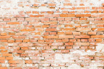 red brick wall background