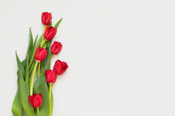 Row of tulips on white background with space for message. Mother's Day background. Top view