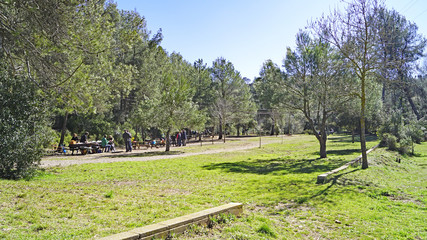 Fototapeta na wymiar Parque natural de Sant llorenç de Munt i l'Obac, Barcelona, Catalunya