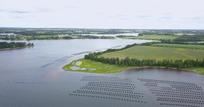 Tilt up from ocean to reveal oyster farm beside land - aerial shot