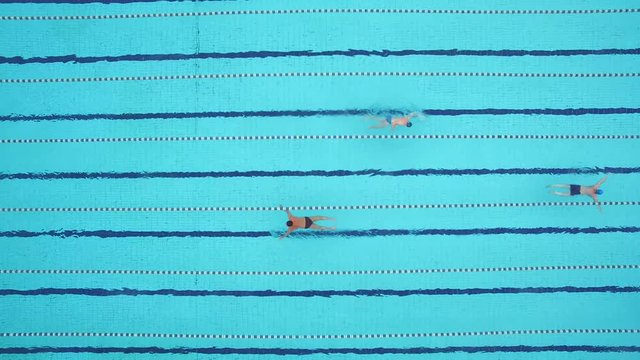 Swimmers practice in olympic pool winter. Aerial shot