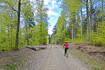 Obraz premium Woman on a bicycle in the forest