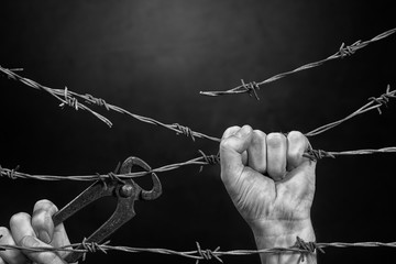 Man is Cutting a Fence of Barbed Wire - obrazy, fototapety, plakaty