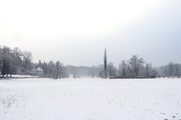 weimar ilmpark in winter landscape view