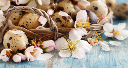 Quail eggs and almond flowers