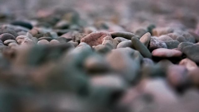 Maritime pebble on the beach