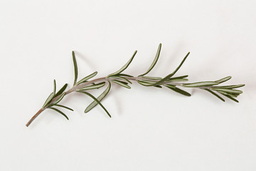 Rosemary Sprig