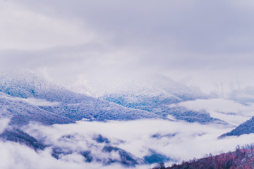 Fototapeta premium Fog in the mountains, winter mountain landscape