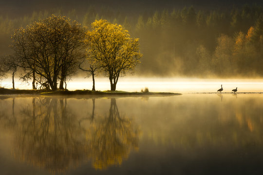 Autumn at Loch Ard, Trossachs National Park, Stirling Region, Scotland