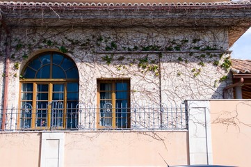 House fills of climbing plants