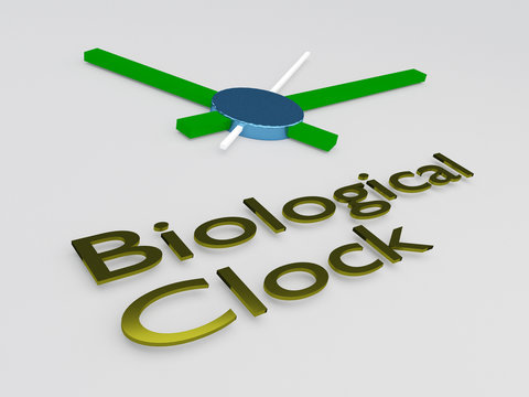 Biological Clock concept