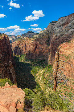 Beautiful scenery in Zion National Park with the virgin river, Hiking along the Angel's Landing trail, Utah, USA