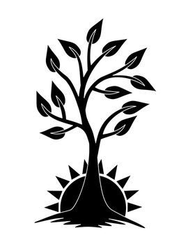 A growing tree against the backdrop of the rising sun. The tree of Life. Black and white sign, logo