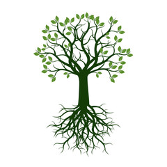 Green Spring Tree with Leaves and Roots. Vector Illustration.