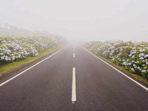 Misty road on Flores Island, Azores, Portugal, Atlantic