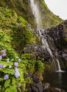 Poco do Bacalhau Waterfall, Faja Grande, Flores Island, Azores, Portugal, Atlantic