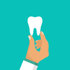 Dentist holds a tooth in hands. Healthy white tooth. Illustration flat design. Teeth isolated. Medical background. Promotion of dental clinic whitening, prosthetics.