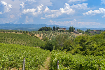 Fototapeta na wymiar Old typical farm in the Chianti region (Tuscany)