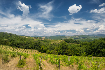 Summer landscape in the Chianti region (Tuscany)