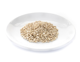 pearls barley grain seed on background