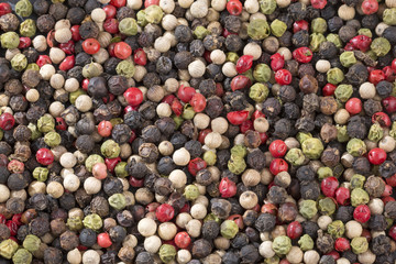 Mixed pepper color on rustic background