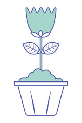 flower in pot decoration interior ornament vector illustration green pastel image
