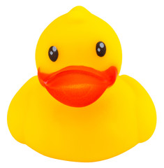 Yellow rubber duck isolated on white background