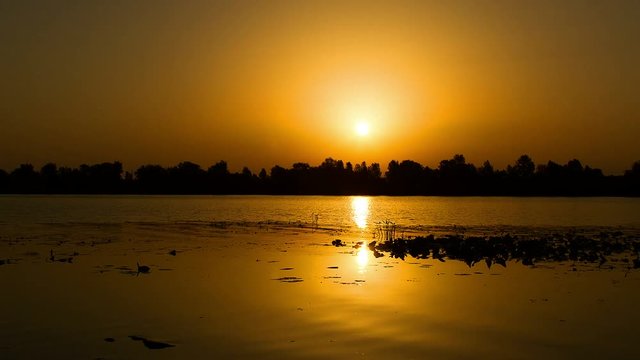 sunrise on the lake, sunrise over river, motorboat at sunrise, morning Landscape, timelapse of sunrise at the river with water lily, timelapse of sunrise over lake