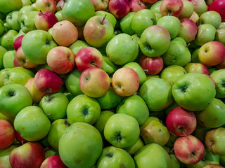 Fresh green apples lie in the shop window
