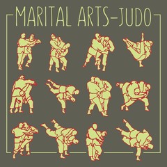 Judo poses martial arts sport