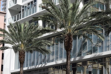 Fototapeta na wymiar Modern Building and Palm Trees