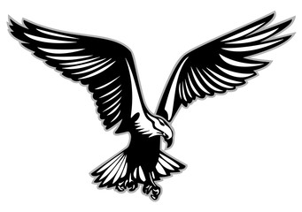 Obraz premium Bird of prey in flight vector illustration