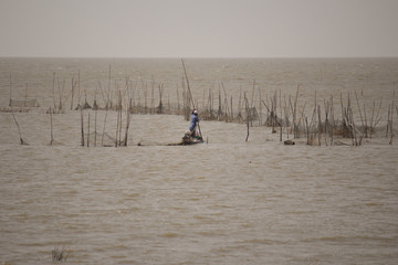 The fisherman is stabbing the long wood into under the ocean and pegging the nets around the fishes. The fisherman is making the fish farm.
