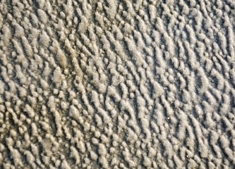 Sandtextur
