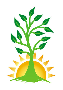 A growing tree against the backdrop of the rising sun. The tree of life, sign, logo