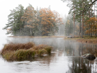 Naklejka na ściany i meble Misty autumn moning by lakeside
