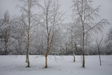 Desnudos en la nieve