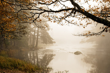 Misty autumn moning by lakeside