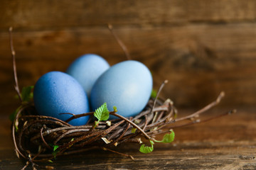 Easter decor, background: painted eggs of blue color in a decorative nest with branches of greenery, the concept of the spring festival, the arrival of spring. The layout for your text.