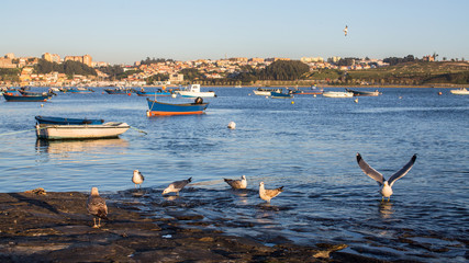 Waterfront of the Douro river with fishing boats and seagulls, Porto, Portugal.